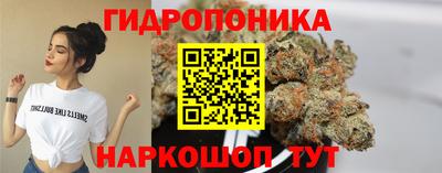 гашиш Кингисепп