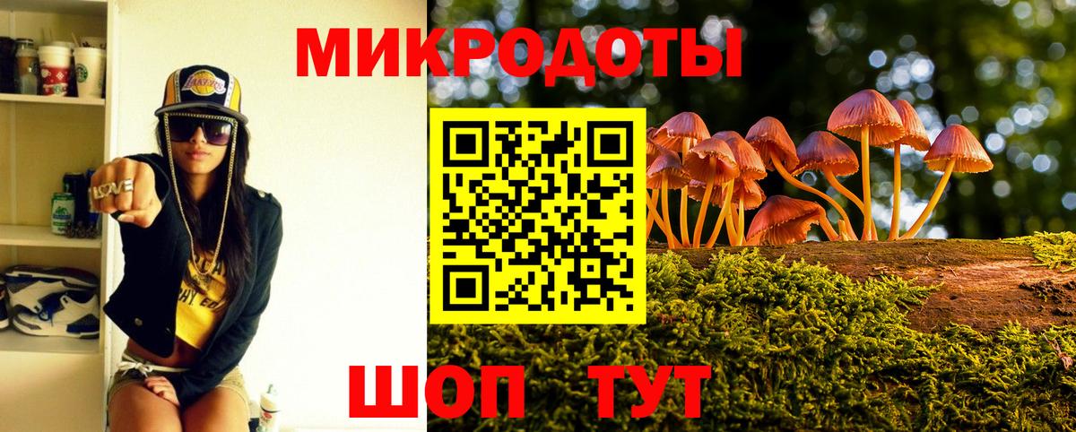Электросталь  Галлюциногенные грибы Magic Shrooms  наркотики  Вход с VPN 